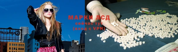 эйфоретик Беломорск