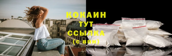 a pvp Белокуриха