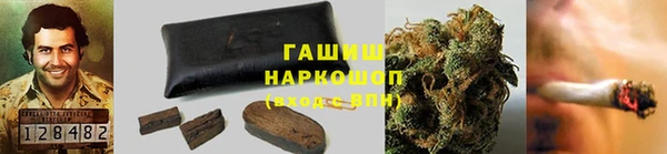 прущие грибы Баксан