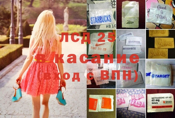 прущие грибы Баксан