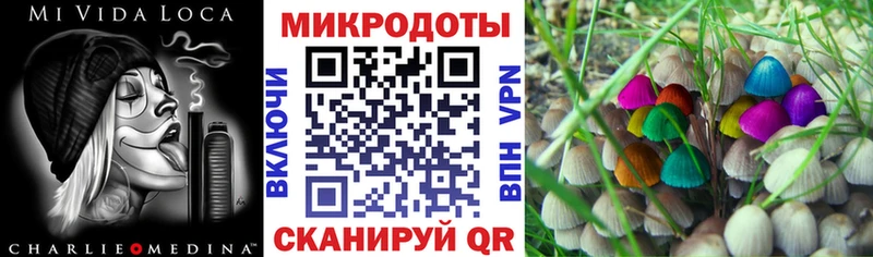 купить наркотик  Кукмор  Галлюциногенные грибы мицелий 