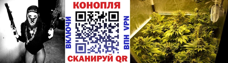 blacksprut как зайти  Кукмор  Бошки марихуана SATIVA & INDICA  наркошоп 